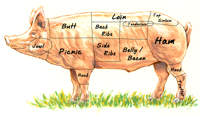 whole hog part it out then meat glue it back together cuts of hog chart