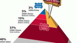 THE DIFFERENT GRADES OF BRISKET- Overview and Thoughts